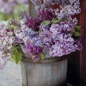 Irene Richards's photo