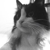 Juliette Ollie's photo