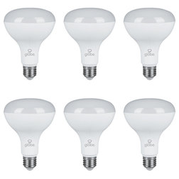 Contemporary Led Bulbs by Globe Electric