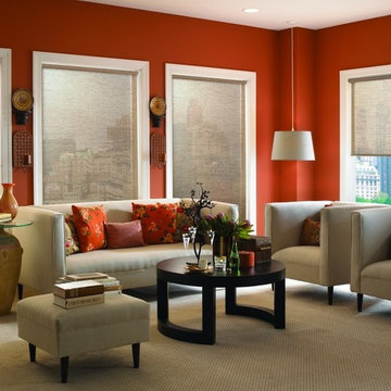 Roller Shades