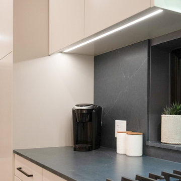 Slab Door Modern Style Kitchen Cabinet