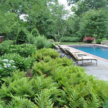 rear landscape
