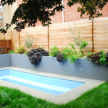 Saltwater Pool, planter and fence
