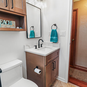 Paula Drive Hall Bath Remodel