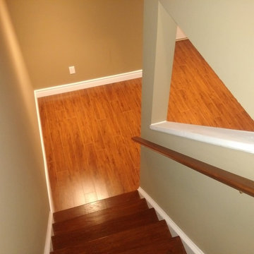 Basement Remodel
