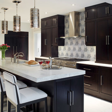 Contemporary Kitchens