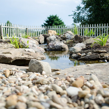 Koi Pond and Stream in Westmoreland County, Latrobe area, Pennsylvania (PA)