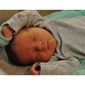Danielle Bernard Stalvey's photo