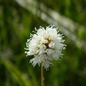 Taira Lynch's photo