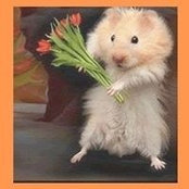 Foto de Elise Mouseida
