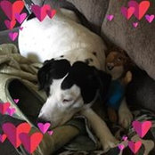 Cassi Raymond's photo