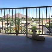 Gina Abruzzo's photo