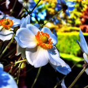 Kelly Millson's photo