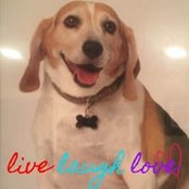 Paige Nabavian's photo