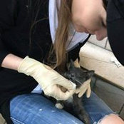 Оля Журавлева's photo