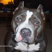 Debi Holton George's photo