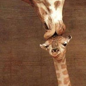 Kristine Wolff's photo