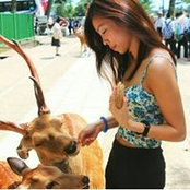 JieLin Tan's photo