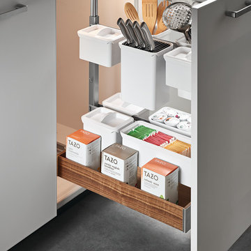 Häfele Fineline Kitchen Accessories in Base Pull-Out 2 with YouboXx - Walnut