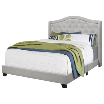 Monarch Velvet Queen Size Bed In Light Grey Finish I 5967Q