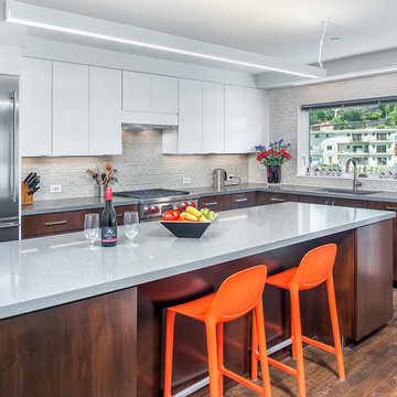 Hollywood Hills Remodel