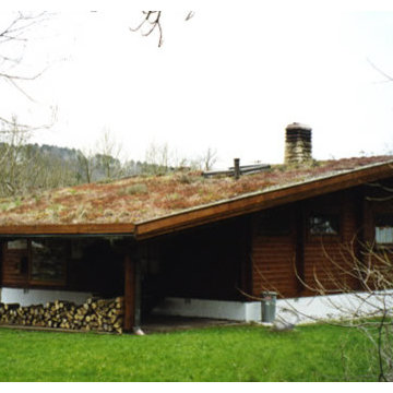 Blockhaus-Bungalow