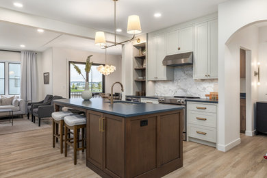 Transitional kitchen photo in Other