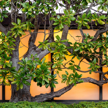 San Ysidro Residence