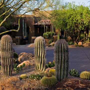 Natural Wonder - Phoenix Home & Garden