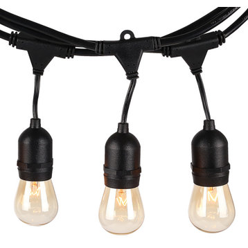 TORCHSTAR 50ft String Light, 15 Sockets, 15 Bulbs + Extra 9 Free Bulbs, Filament Bulbs, 15 Sockets