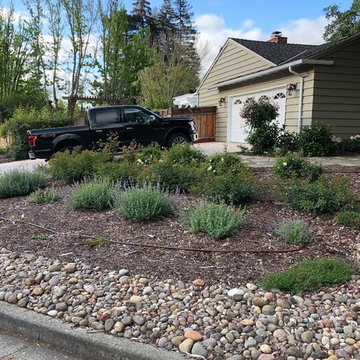 Front Yard Slow and Patient Remodel