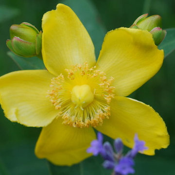 Gartengestaltung