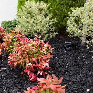 Kleiner, Geometrischer Stilmix Garten im Sommer mit direkter Sonneneinstrahlung in Melbourne