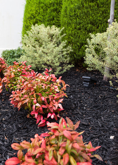 Фьюжн Сад by Boodle Concepts