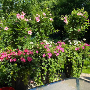 Summer Planters 2020