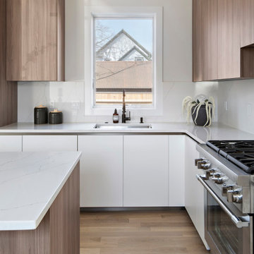 Two-Tone Functional Modern Kitchen in Newton, MA