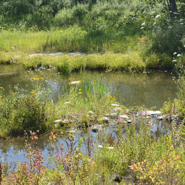 Millerton Retreat: Pond