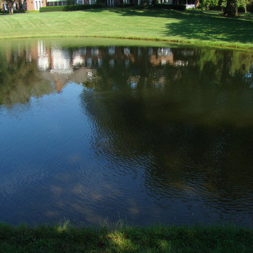 Estate Pond