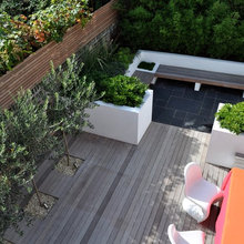 Back Garden