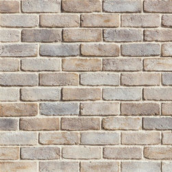 TundraBrick - Latigo - Bricks And Masonry