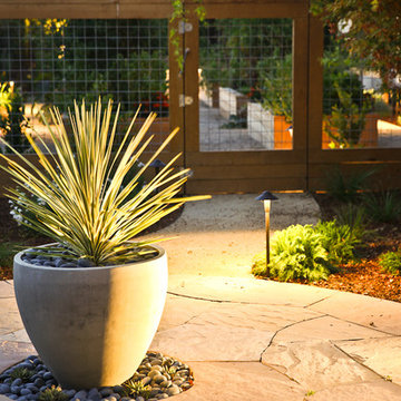 Sustainable Hillsborough Garden