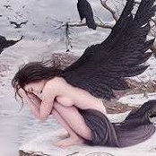 Sharon Lynn's photo