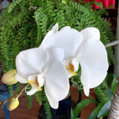 Gloria Abero's photo