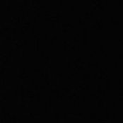 Marisa Sacksさんの写真