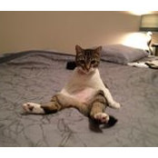 David Maber's photo