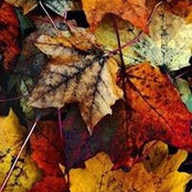 Michelle Jackman's photo