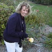 Diane Foleys foto