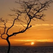 Tanna Youngquist's photo