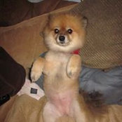 Dan Daniels's photo