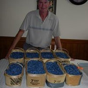 Glen Johnstons billede